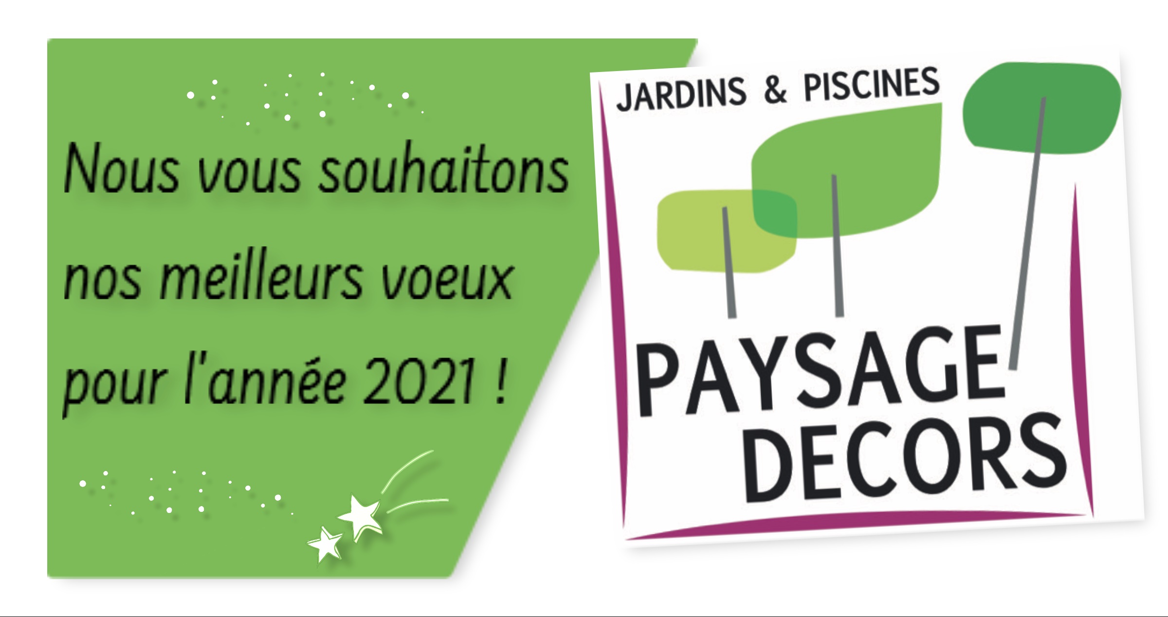 Meilleurs voeux 2021 Paysage Decors Everblue